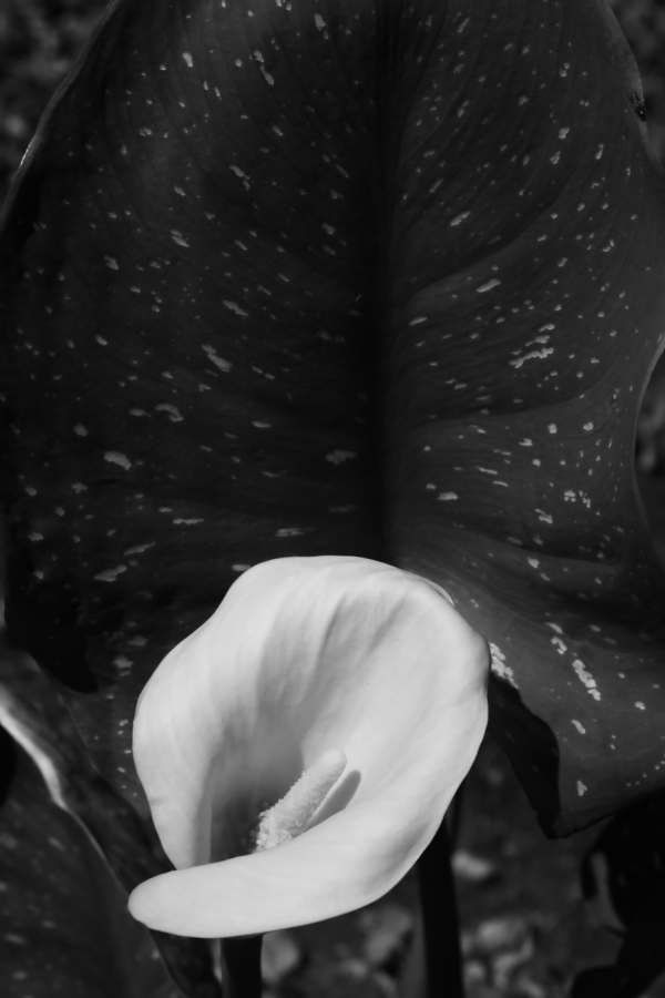 2012 06 27 6832